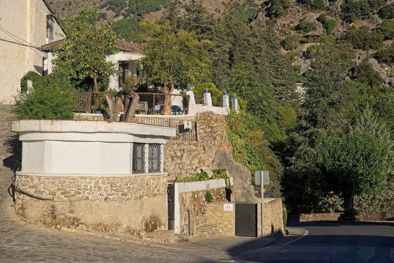 Don Claudio Guest House Grazalema Ngoại thất bức ảnh