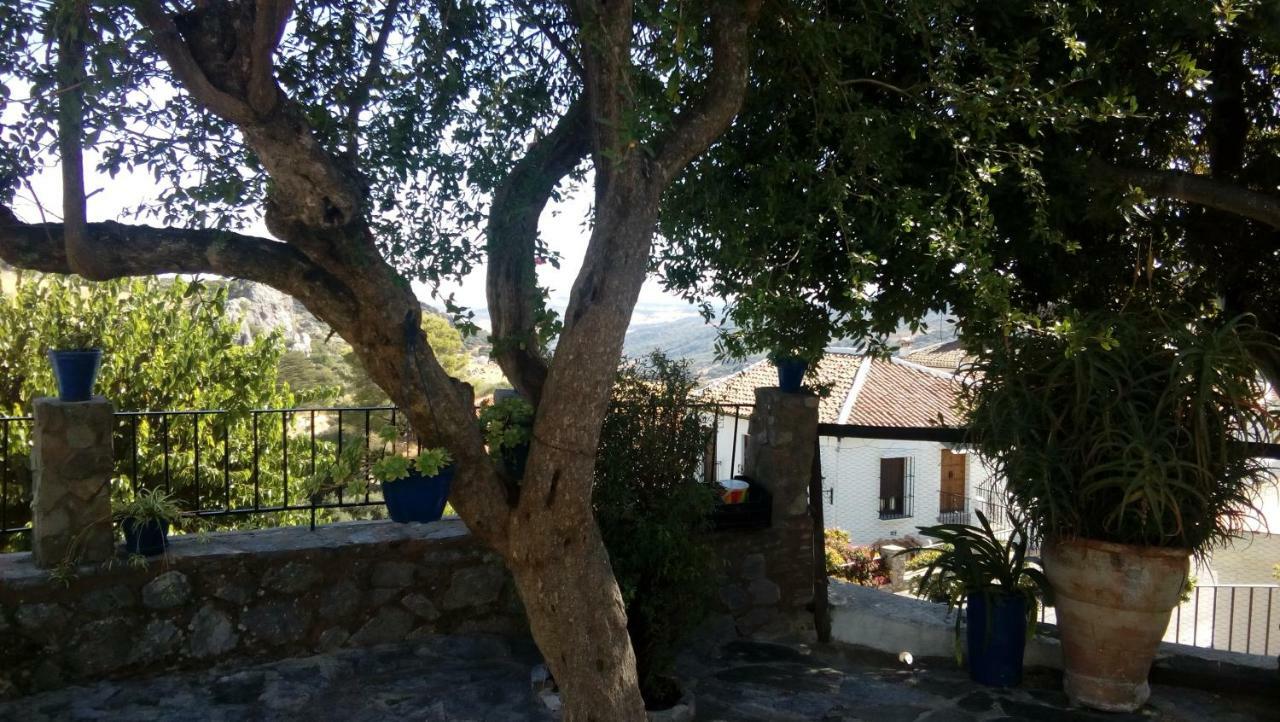 Don Claudio Guest House Grazalema Ngoại thất bức ảnh